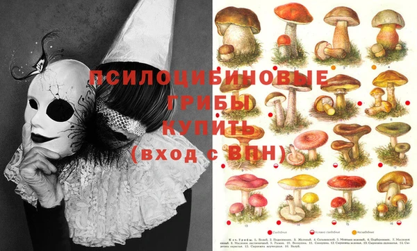 стаф Балабаново