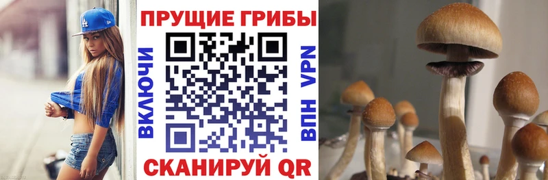 Псилоцибиновые грибы MAGIC MUSHROOMS  Бор 